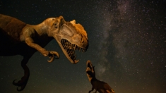 Cientistas revelam impacto duplo de asteroides que extinguiu dinossauros