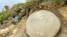 Misteriosas esferas de pedra da Nova Zelândia continuam cativando as pessoas