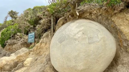 Misteriosas esferas de pedra da Nova Zelândia continuam cativando as pessoas