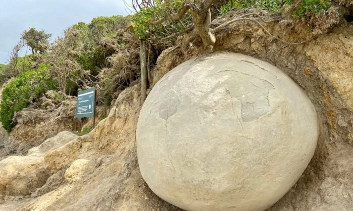 Uma das Moeraki Boulders, rochas esféricas excepcionalmente grandes espalhadas ao longo de uma seção da costa de Otago, na Nova Zelândia, em 6 de dezembro de 2022 (Daniel Teng/The Epoch Times)