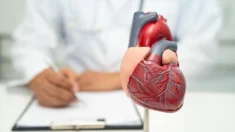 Tipo sanguíneo associado à saúde cardiovascular – Tipos sanguíneos não-O podem ter maior risco