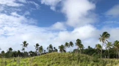 Cidade antiga de Tonga dá indícios de civilização no Pacífico 700 anos antes do imaginado