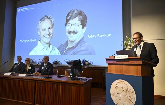 O presidente do Comitê do Nobel, Thomas Perlmann, discursa em uma coletiva de imprensa para anunciar os vencedores do Prêmio Nobel de Fisiologia ou Medicina no Instituto Karolinska em Estocolmo, Suécia, em 07 de outubro de 2024. O Prêmio Nobel de Fisiologia ou Medicina de 2024 foi concedido conjuntamente a Victor Ambros e Gary Ruvkun “pela descoberta do microRNA e seu papel na regulação gênica pós-transcricional”, diz o comunicado. (EFE/EPA/Christine Olsson/TT SWEDEN OUT)