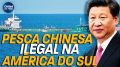 China promove pesca ilegal e predatória na América do Sul