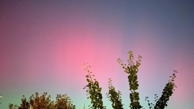 Aurora boreal vista sobre Washington, em 10 de outubro de 2024 (Lucie Aubourg/AFP via Getty Images)
