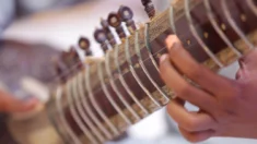 Arqueado, dedilhado, palhetado e golpeado: Instrumentos de corda ao redor do mundo