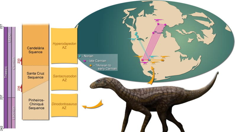 Detalhes da espécie de dinossauros 
denominada Gondwanax paraisensis (Imagem: Rodrigo Temp Müller https://doi.org/10.1016/j.gr.2024.09.007)