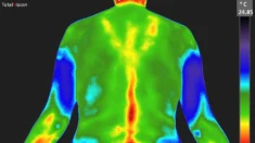 Guia definitivo para termografia: decodificando os sinais silenciosos do corpo