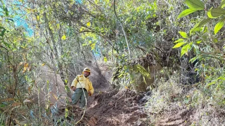 Exército Brasileiro é multado em 6,5 milhões por incêndio florestal em Parque Nacional do Itatiaia 