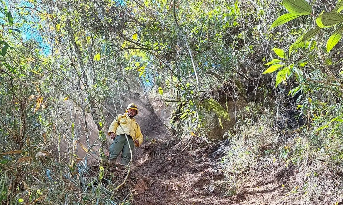 Exército Brasileiro é multado em 6,5 milhões por incêndio florestal em Parque Nacional do Itatiaia 