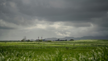 Volta da chuva traz alívio ao agro, aponta CONAB