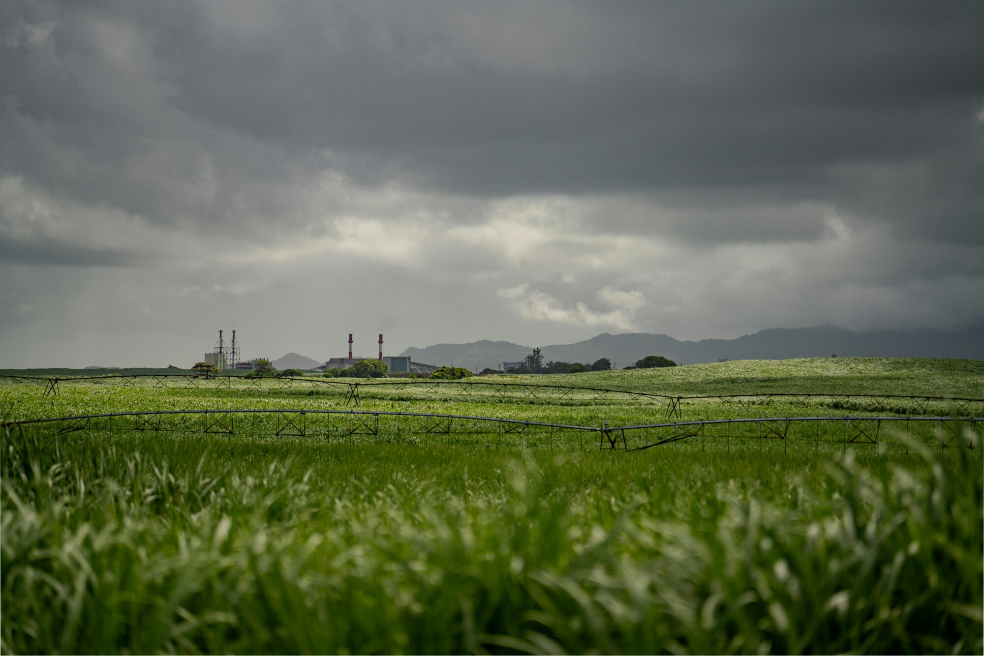 Volta da chuva traz alívio ao agro, aponta CONAB