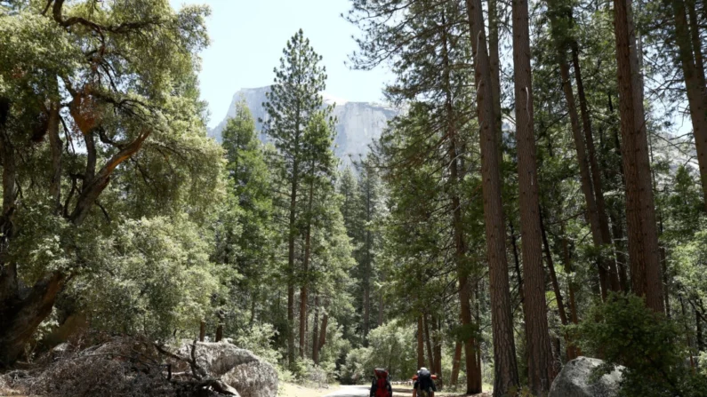 Visitantes caminham ao longo do caminho para começar uma viagem de mochila no Parque Nacional de Yosemite, Califórnia, em 11 de junho de 2020 (Ezra Shaw/Getty Images)