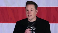 Musk nega alegações de que trabalhou ilegalmente nos Estados Unidos