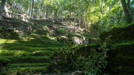 Estudante descobre cidade Maia milenar encoberta por árvores na selva mexicana