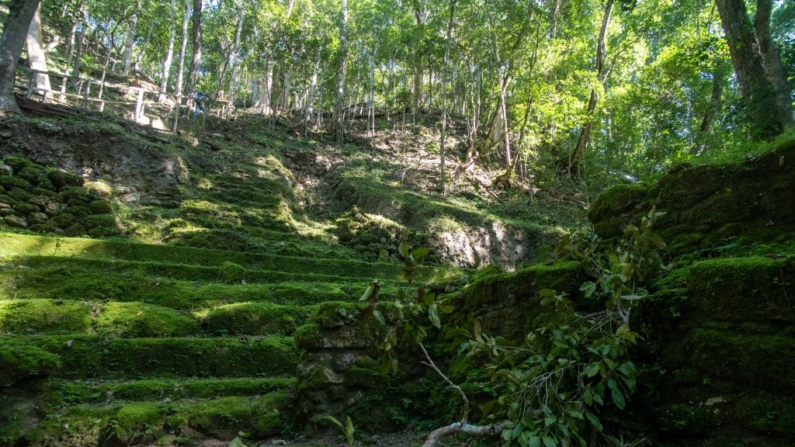 Vista do sítio arqueológico El Mirador em San Andrés, Guatemala, em 17 de janeiro de 2023 - Entre o vasto manto verde da selva no norte da Guatemala ergue-se a crista Danta, uma das maiores pirâmides do mundo localizada na megacidade maia El Mirador, um sítio arqueológico que está sendo redescoberto com tecnologia (Foto de CARLOS ALONZO/AFP via Getty Images)