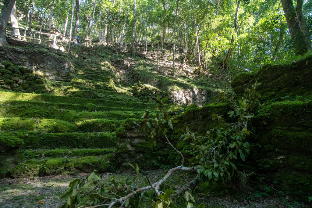 Estudante descobre cidade Maia milenar encoberta por árvores na selva mexicana