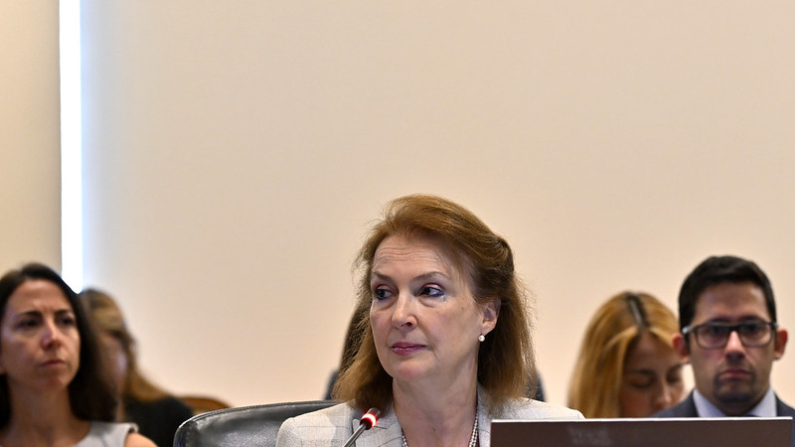 Diana Mondino (Foto: OEA - OAS)