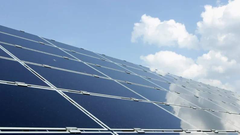 Uma série de painéis solares fotovoltaicos são vistos no Berliner Wasserbetriebe em Berlim, Alemanha, em uma foto de arquivo. (Andreas Rentz/Getty Images)
