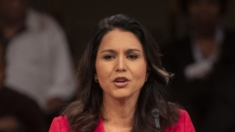 Trump nomeia ex-congressista democrata Gabbard como diretora de Inteligência Nacional