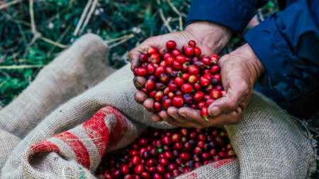 Exportações do agronegócio brasileiro batem recorde de US$ 14,27 bilhões em outubro