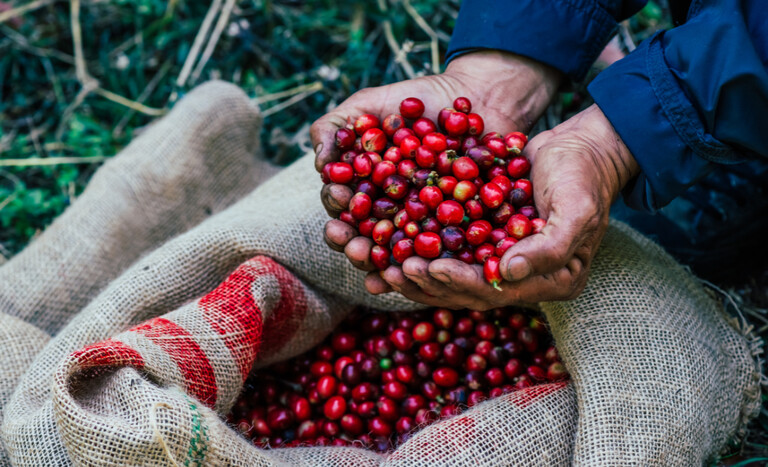 Exportações do agronegócio brasileiro batem recorde de US$ 14,27 bilhões em outubro