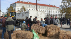 Agricultores franceses bloqueiam estradas e saqueiam caminhões da Espanha em protesto contra acordo UE-Mercosul