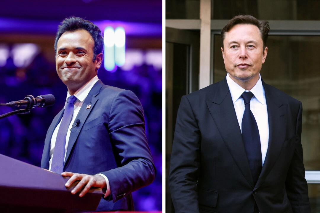 Musk e Ramaswamy realizarão conversas do DOGE com republicanos da Câmara