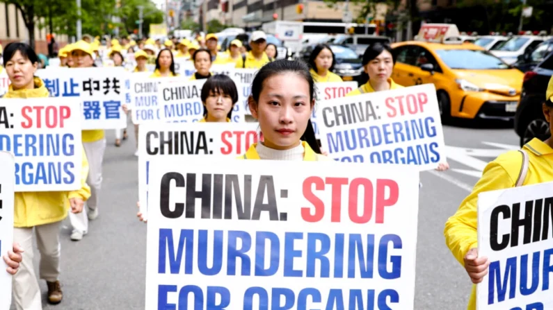 Praticantes do Falun Dafa seguram cartazes destacando a prática de extração forçada de órgãos na China, em um desfile em Manhattan, Nova Iorque, em 16 de maio de 2019 (Samira Bouaou/Epoch Times)
