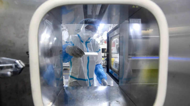 Um técnico de laboratório trabalha em amostras a serem testadas para COVID-19 no laboratório Fire Eye, uma instalação de testes de COVID-19, em Wuhan, China, em 5 de agosto de 2021. (STR/AFP via Getty Images)