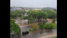 Chuvas intensas em Porto Alegre causam transtornos em vários bairros