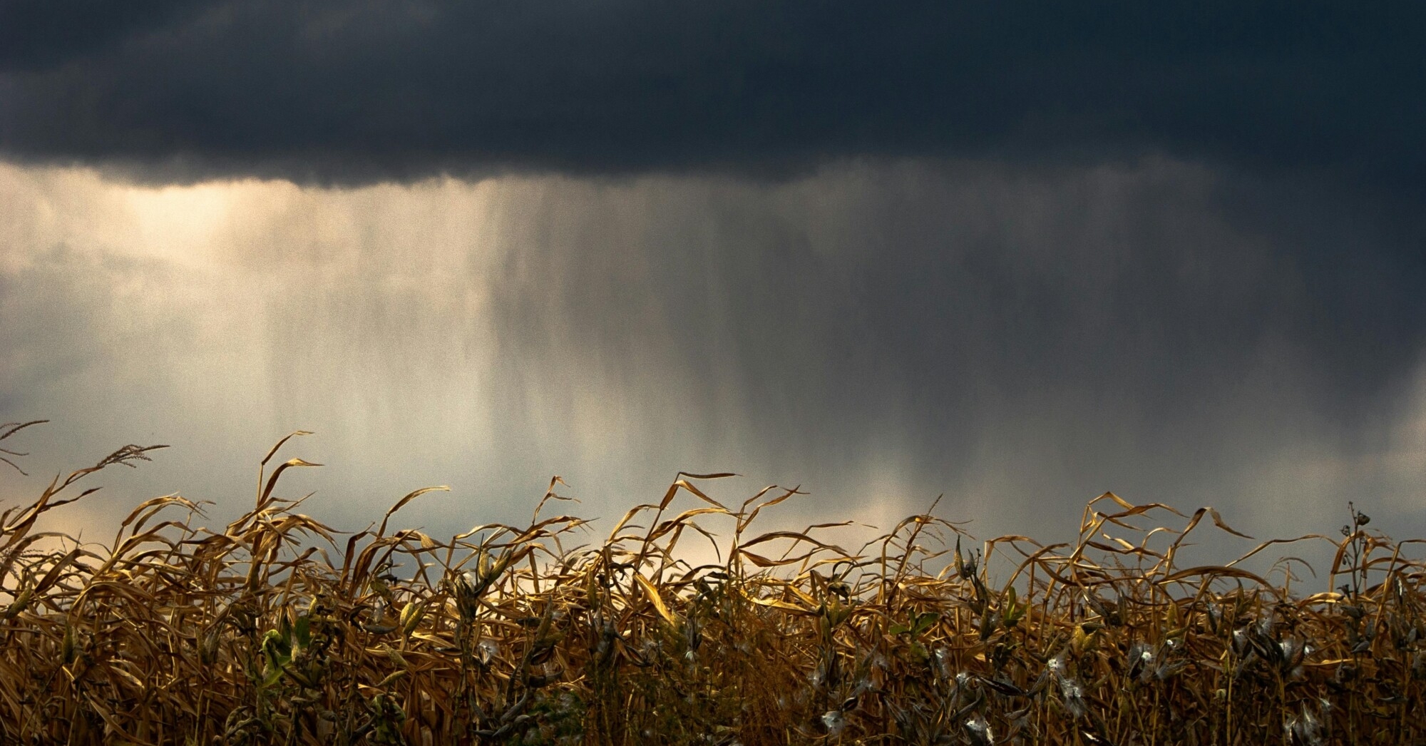 La Niña está de volta e deve impactar o clima global nos próximos meses