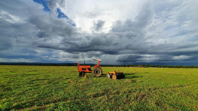 A projeção dos especialistas indica que, em 2025, setores como aviação, agropecuário, sucroalcooleiro e varejo serão os mais afetados pela alta do dólar (Imagem: Natalino Vieira/Via Pexels)