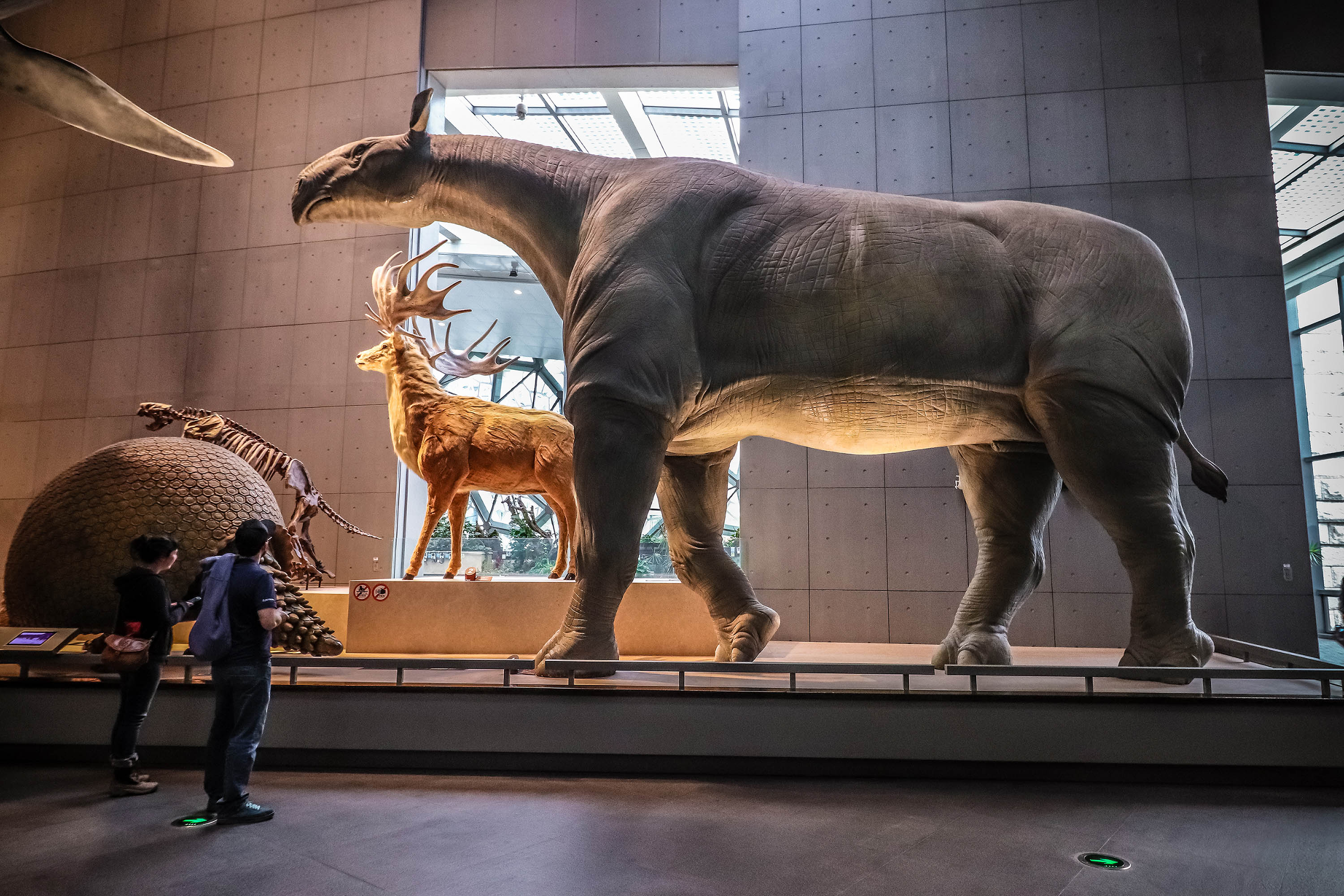 prehistoric mammals        
        <figure class=