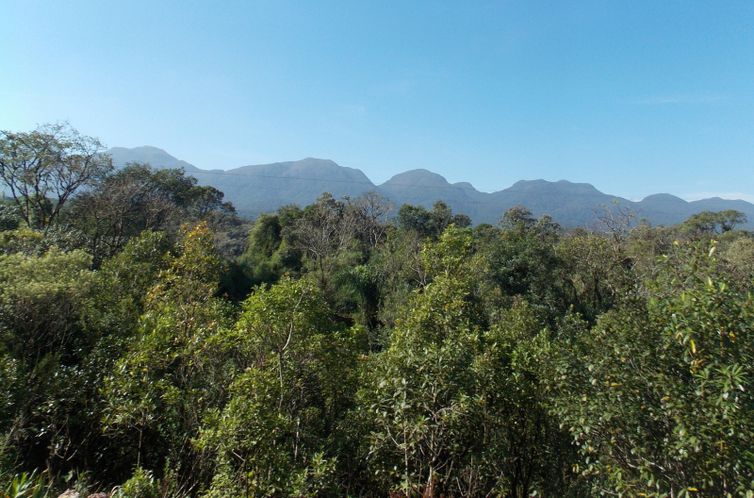 Mata Atlântica (Arquivo/Agência Brasil)