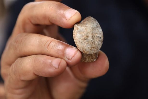 A stone figurine depicting a human face was one of the a number of artworks found at the site.