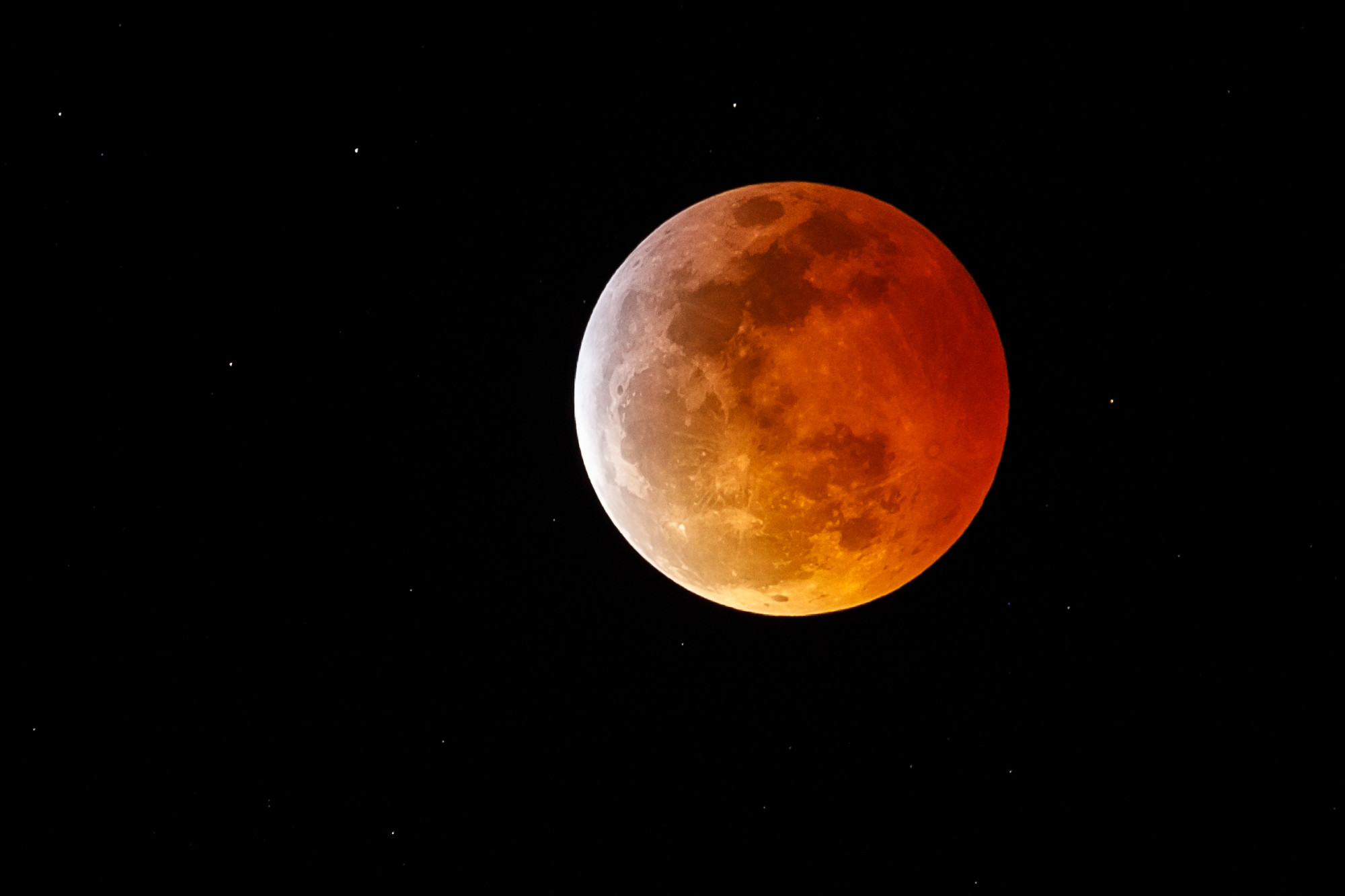 Uma superlua de lobo vista sobre Marina Del Rey, Califórnia, durante o eclipse lunar total de 20 de janeiro de 2019 (© Getty Images | Rich Polk)