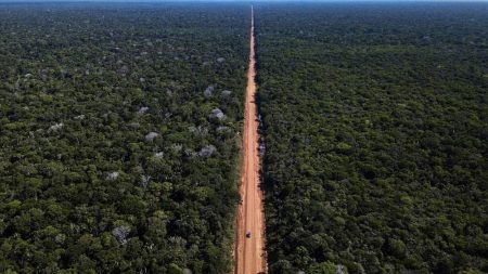 Governo publica edital para pavimentação da BR-319, no Amazonas