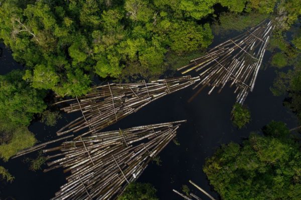 Vista aérea de toras de madeira apreendidas pela Polícia Militar da Amazônia no rio Manacapuru, em Manacupuru, Estado do Amazonas, Brasil, em 16 de julho de 2020 (Foto por RICARDO OLIVEIRA / AFP via Getty Images)