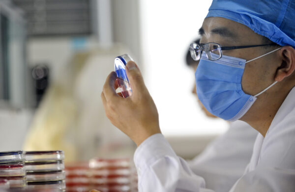 Um médico chinês examina uma amostra de bactéria em um hospital de Pequim em 14 de setembro de 2010 (AFP / AFP via Getty Images)