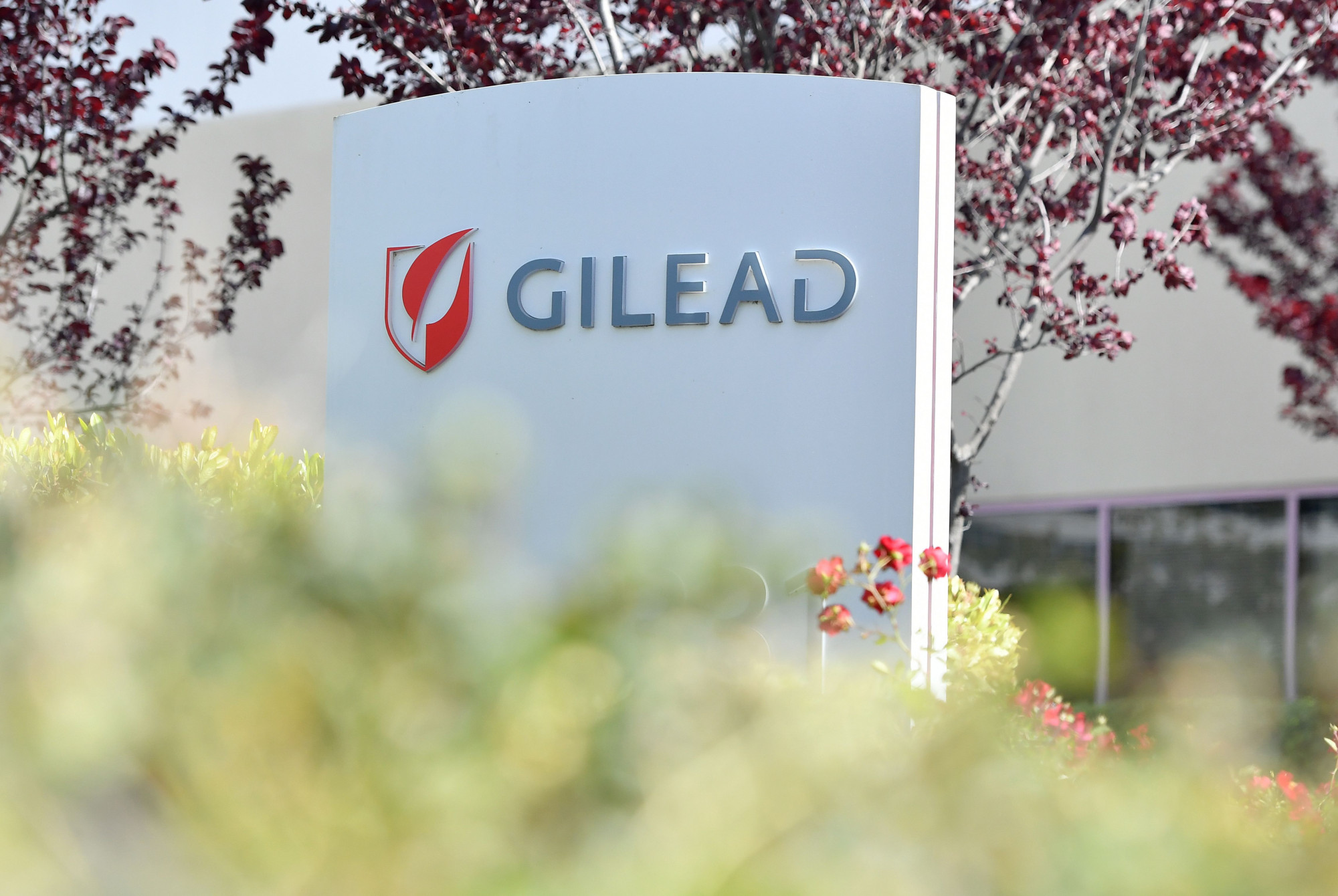 A sede da Gilead Sciences assina em Foster City, Califórnia, em 30 de abril de 2020 (Josh Edelson / AFP via Getty Images)